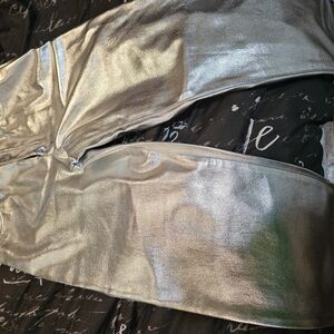 Shiny Silver Pants